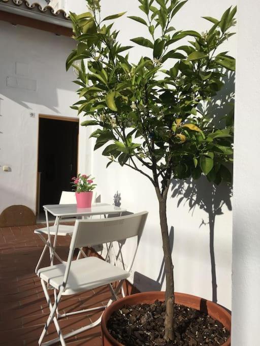 Apartment Catedral - Francos Seville